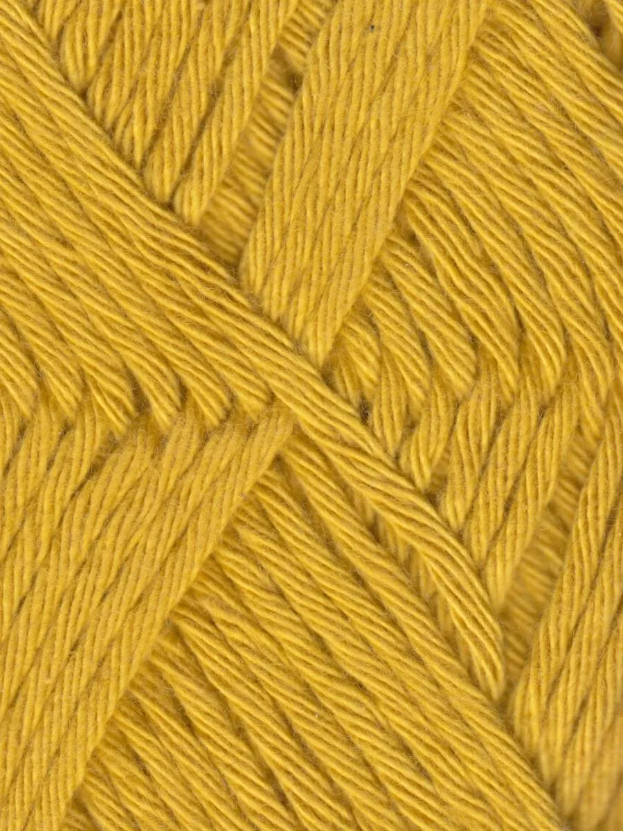 Coastal Cotton Yarn by Queensland