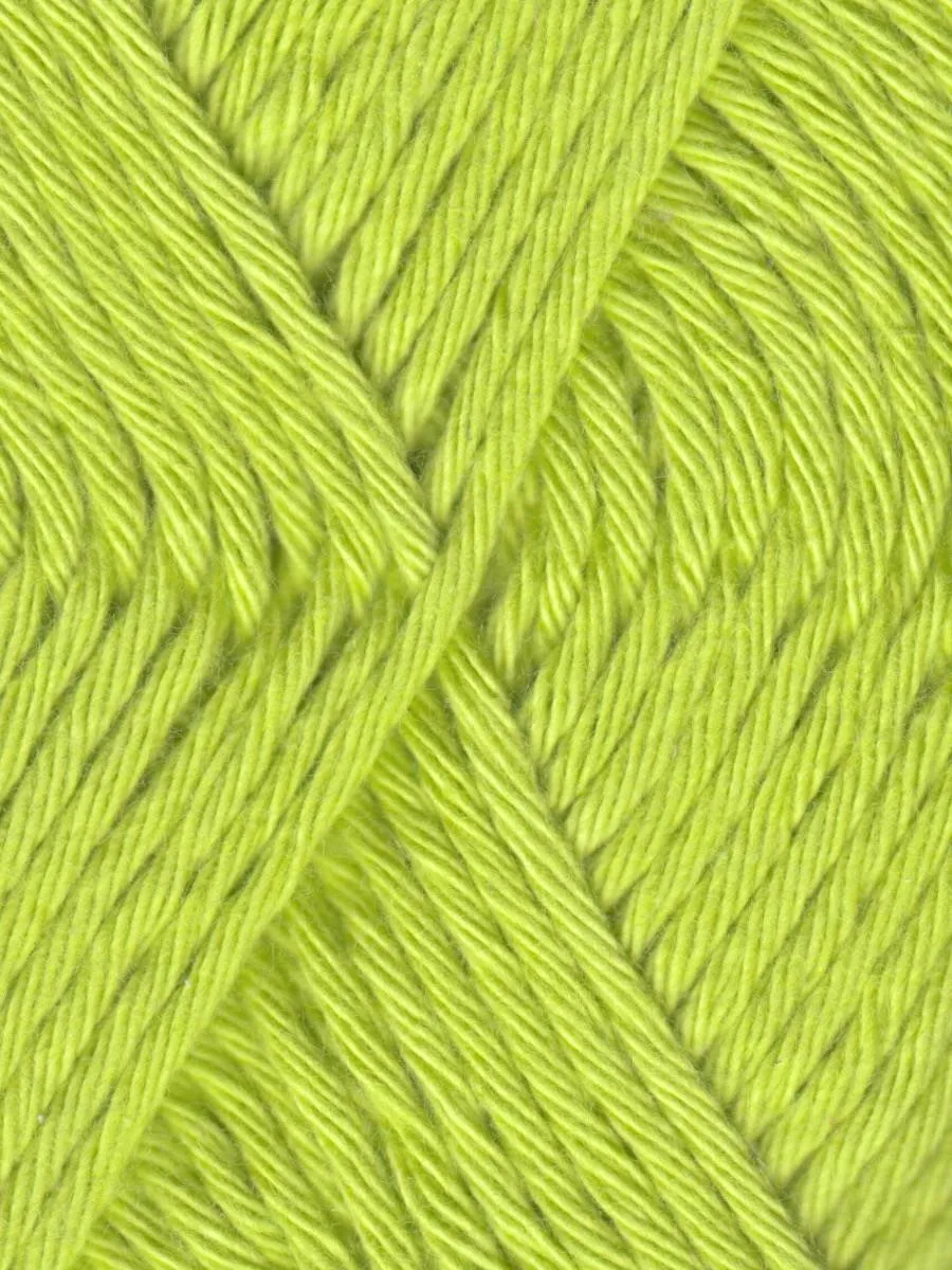 Coastal Cotton Yarn by Queensland