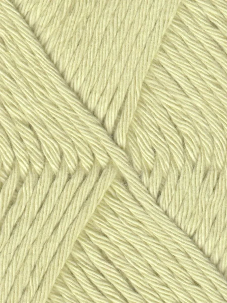 Coastal Cotton Yarn by Queensland