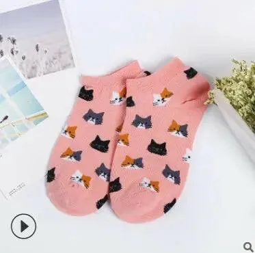 Discover Our Cat Socks