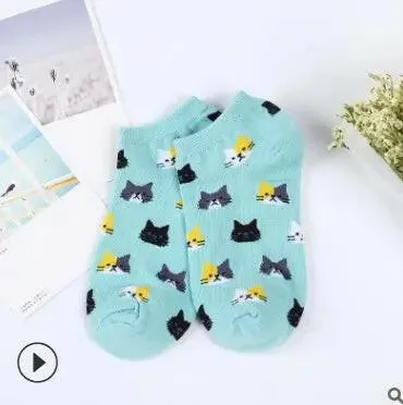Discover Our Cat Socks