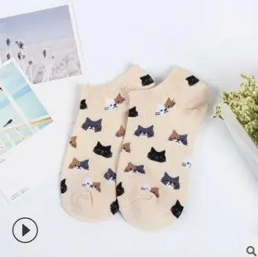 Discover Our Cat Socks