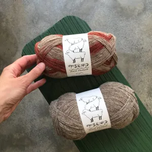 Terno Wholesale